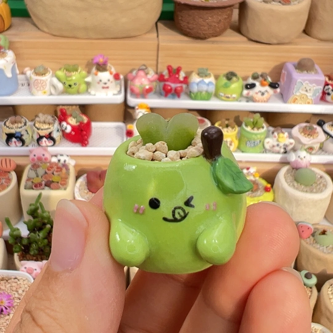 多肉植物8号拇指盆