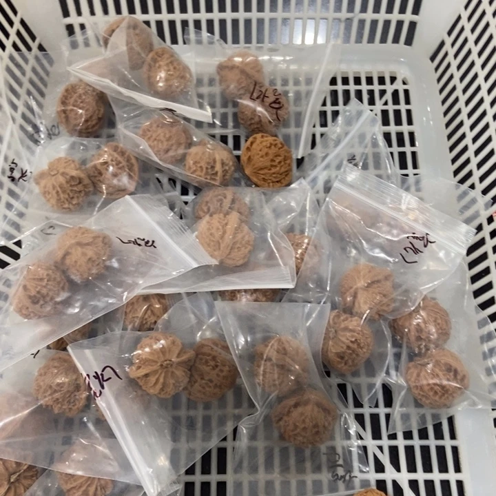 吊坠文玩核桃桃心灯瑕疵