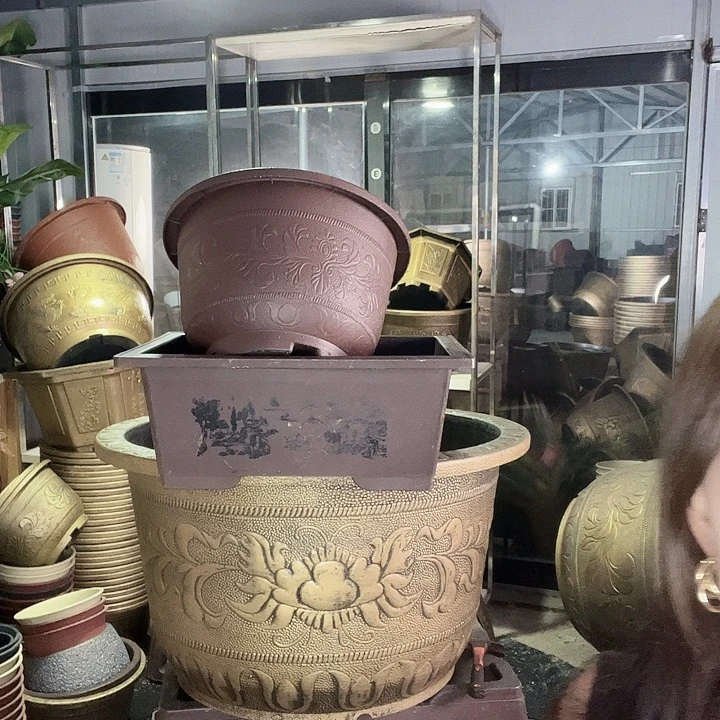 梅花照眼 依然旧风味