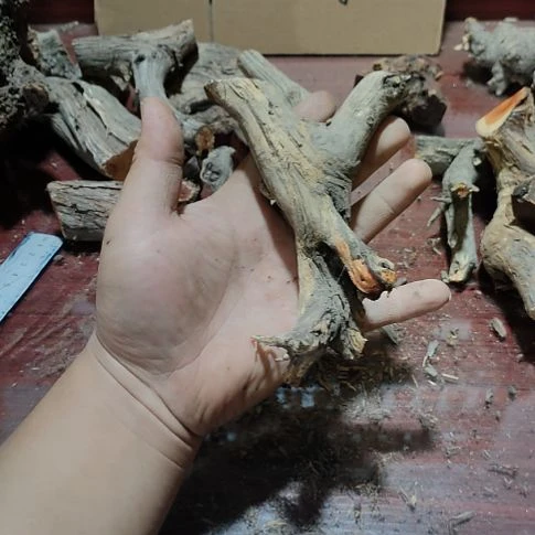 动***犬核桃木/黑胡桃（胡桃木）