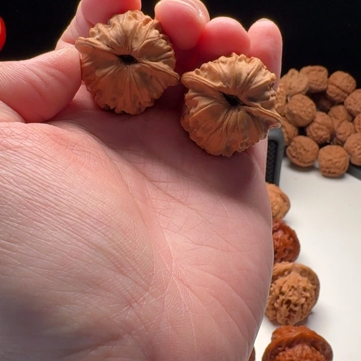 b***t35-34-33一代天地全品