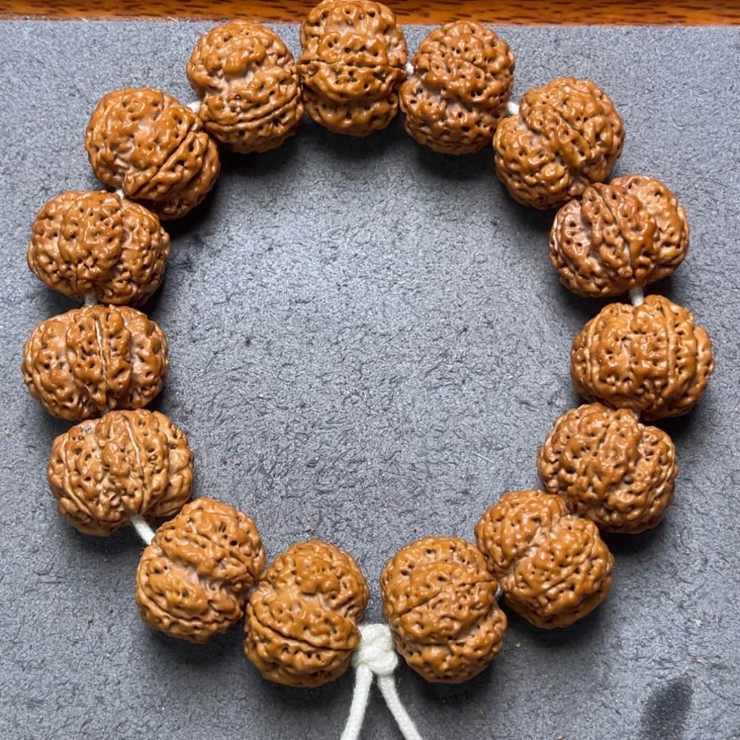 菩提50号金刚菩提蜂窝梅花22