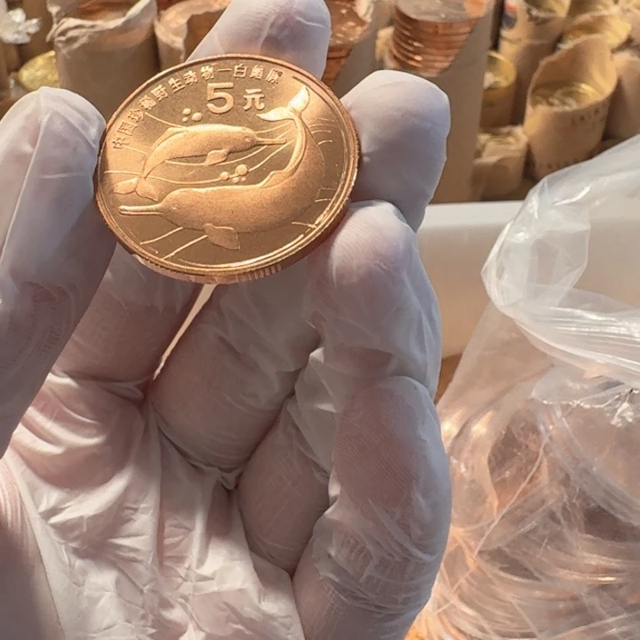 其他普通金属白鳍豚币
