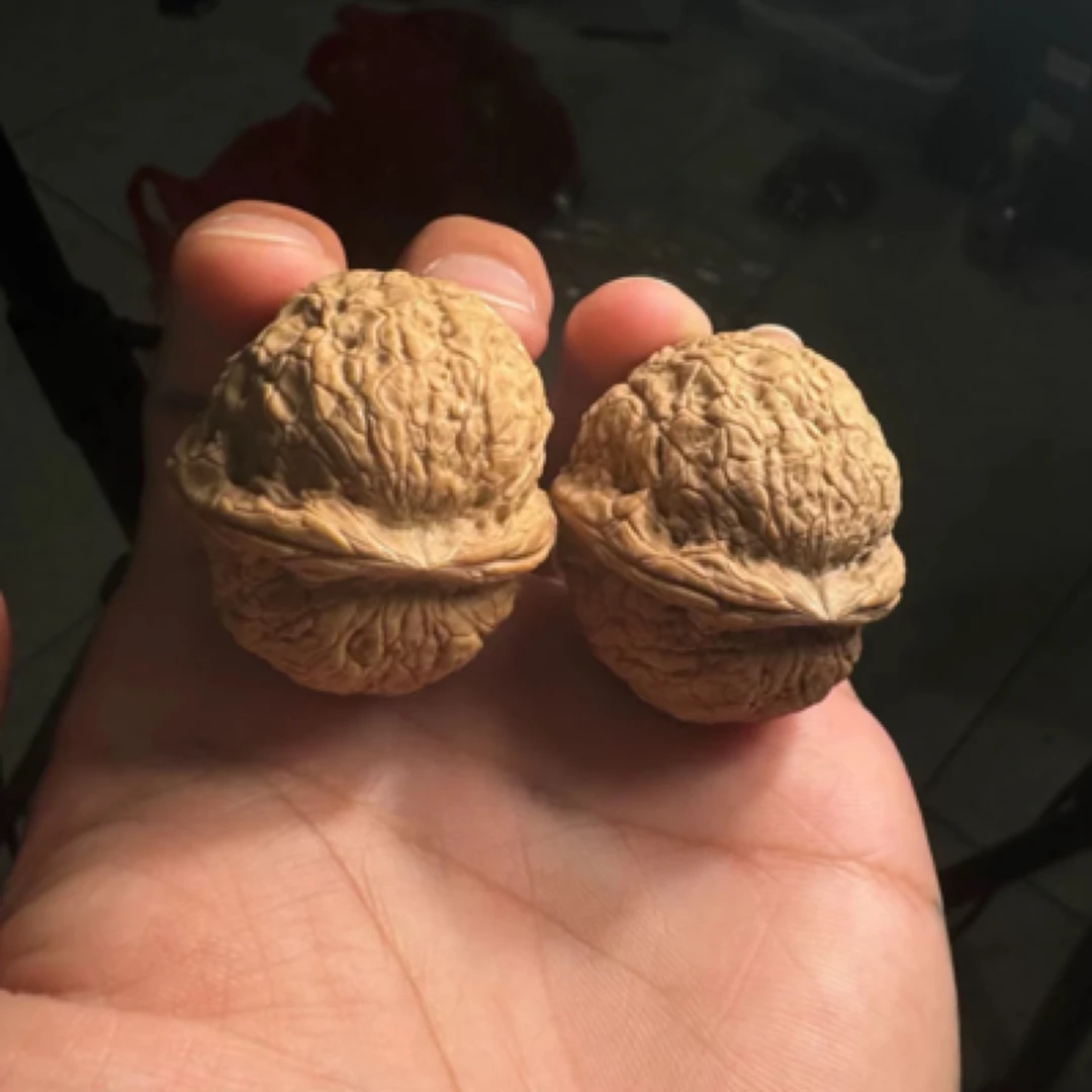 尼泊尔 国王核桃