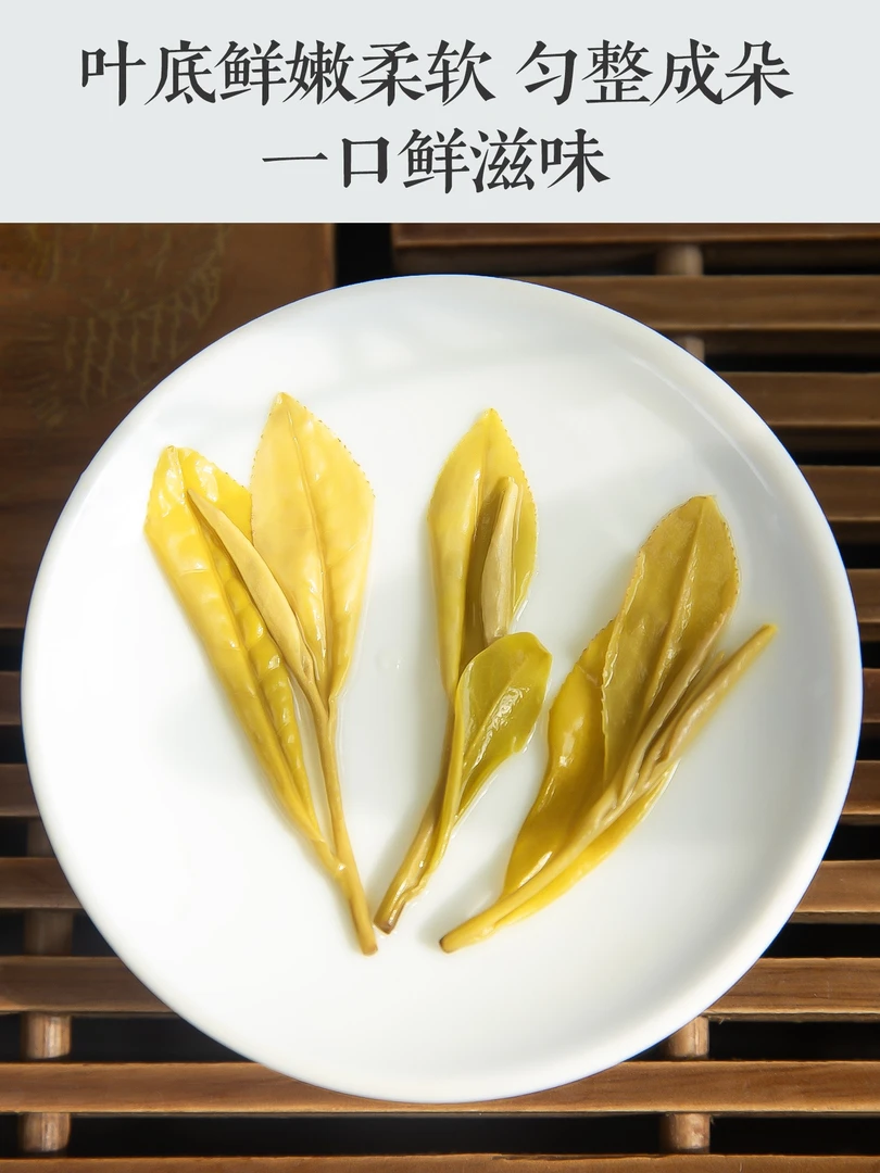2025 昆铜【豆香味】黄金芽