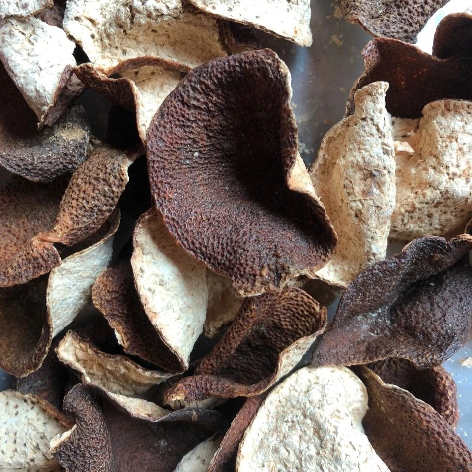 新会老陈皮断皮2017年陈化东甲圈枝散装陈皮断皮500g泡茶煲汤