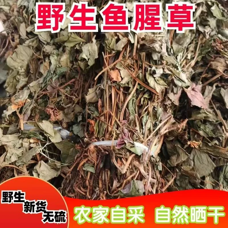 野生鱼腥草干货整颗自晒无硫中草药鱼腥草泡水喝清火