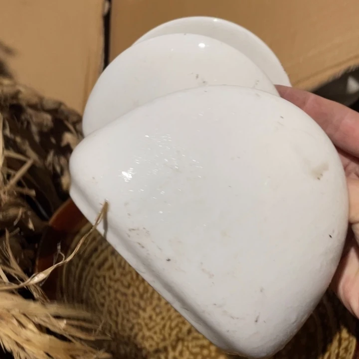 陶瓷碗盘子砂锅都有