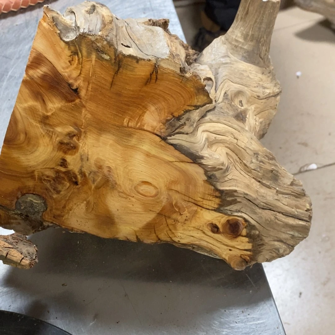 柏木?****?我们都是好孩子