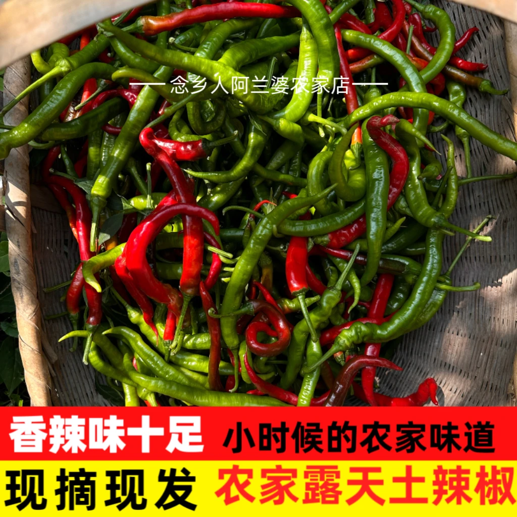 红辣椒新鲜新鲜薄皮湖南红辣椒现摘现发自然红辣椒剁椒泡椒中辣