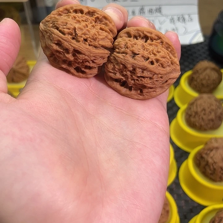 把件文玩核桃555号37尺微龟背微凹底