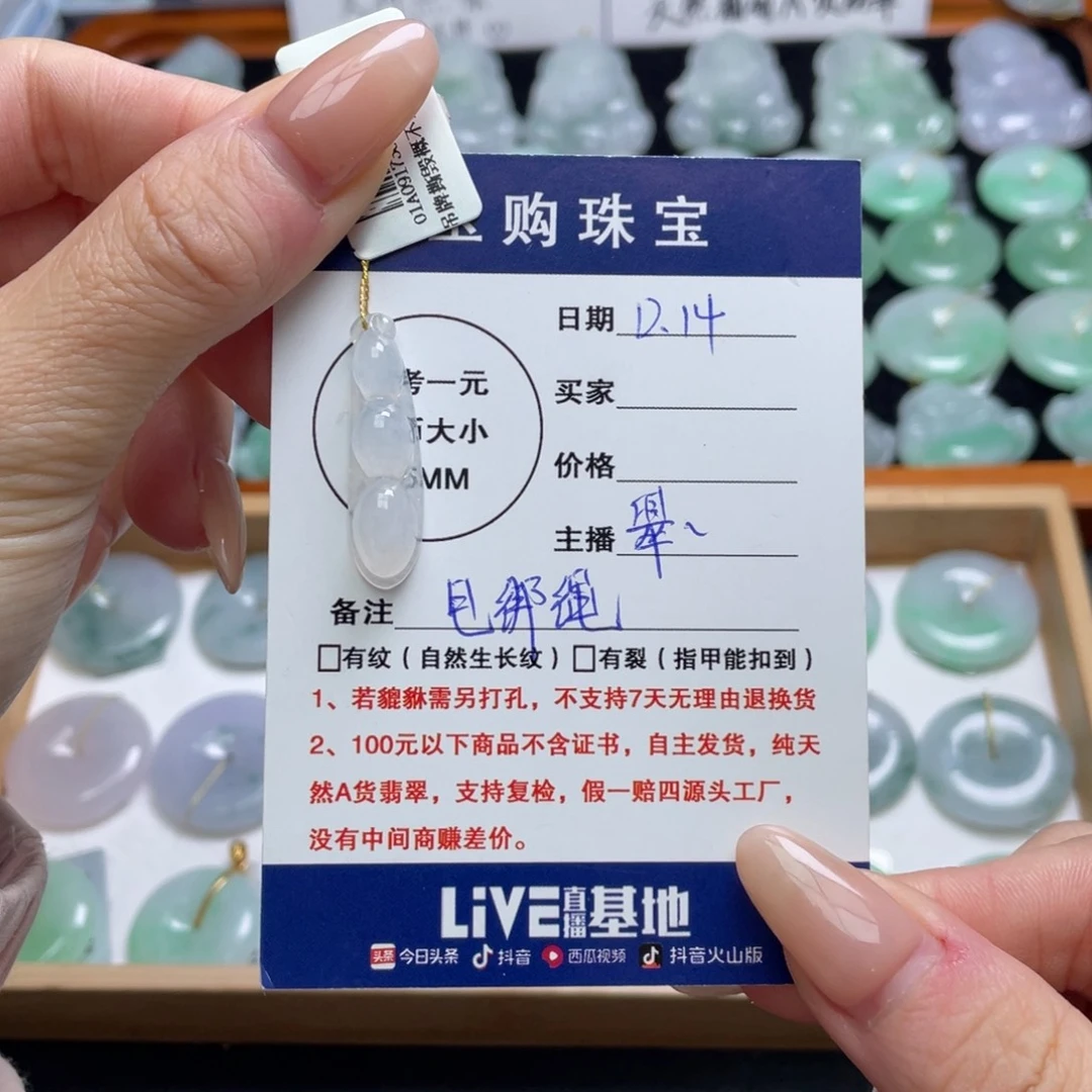 翡翠未镶嵌颈饰豆子