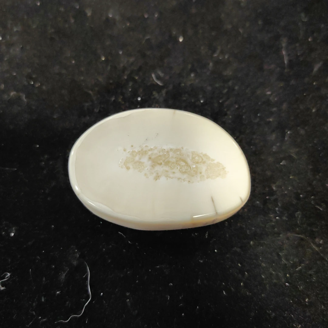 猛犸猛犸虬饼子WT334