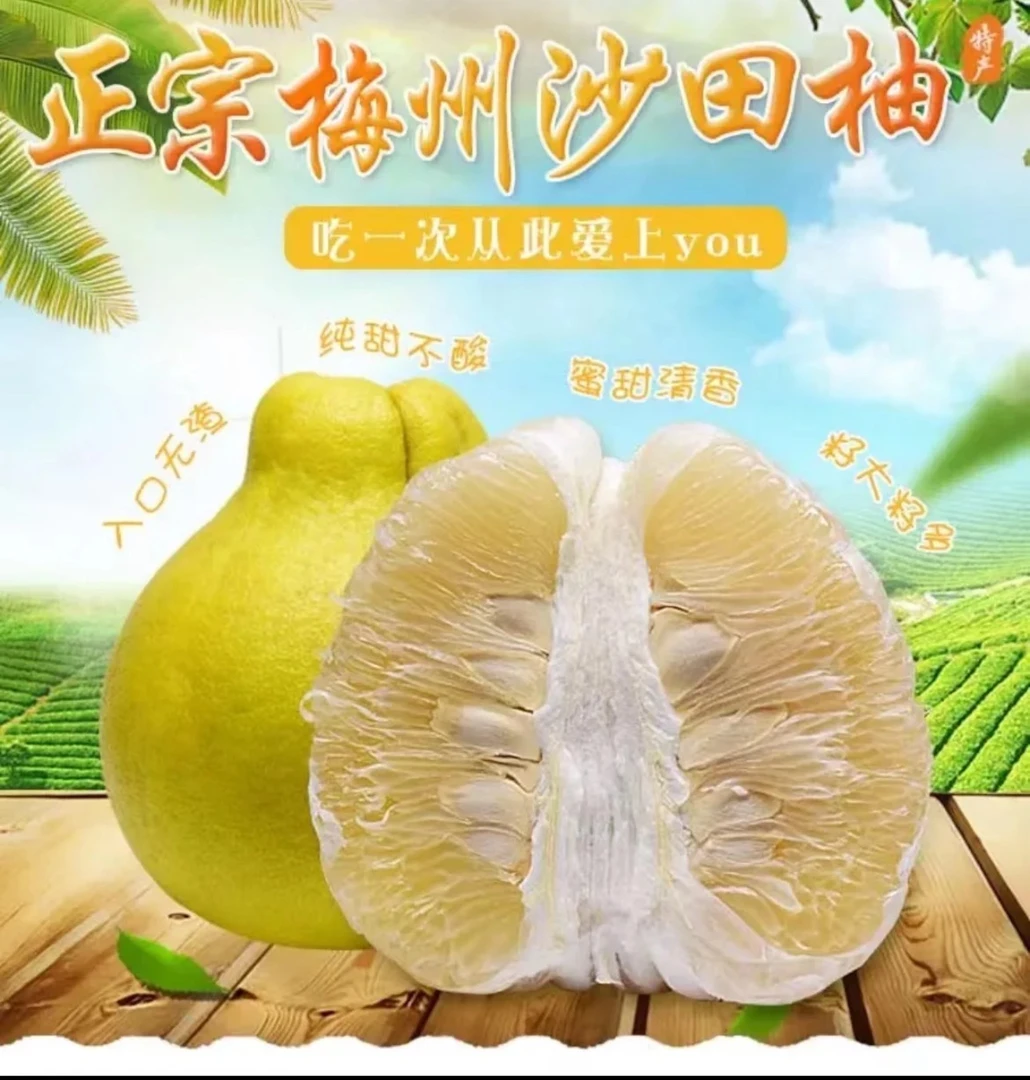 广东梅州正宗沙田柚长寿沙田柚肉厚纯甜无酸产地直发柚子