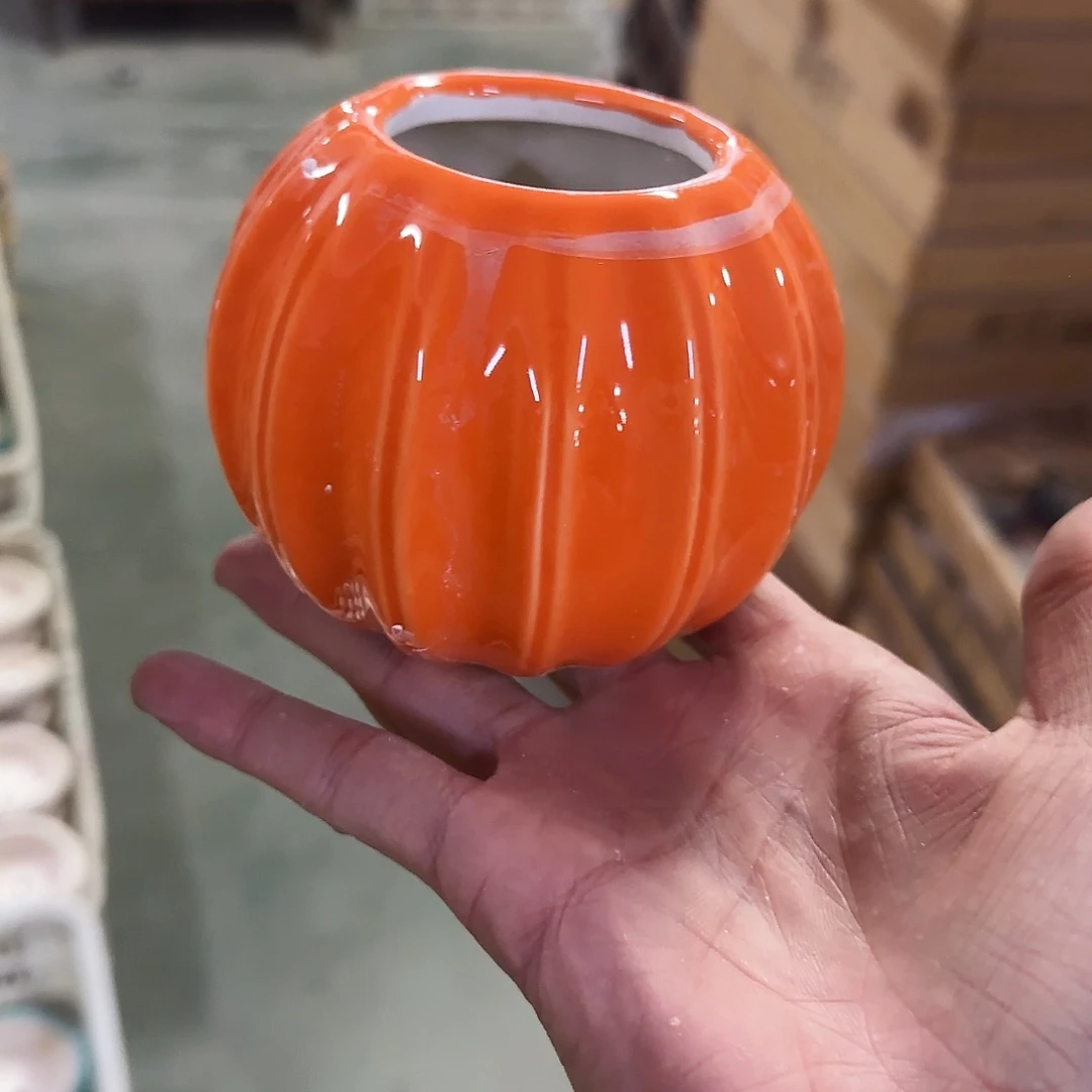 福利局绿植多肉盆［凑9元包邮24小时发］