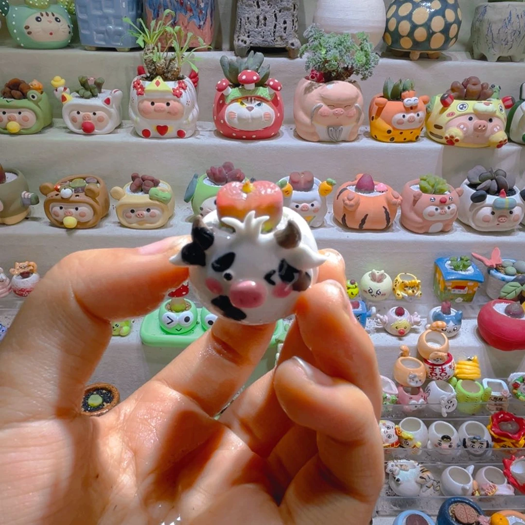 五*弎五宝专属链接拍拍