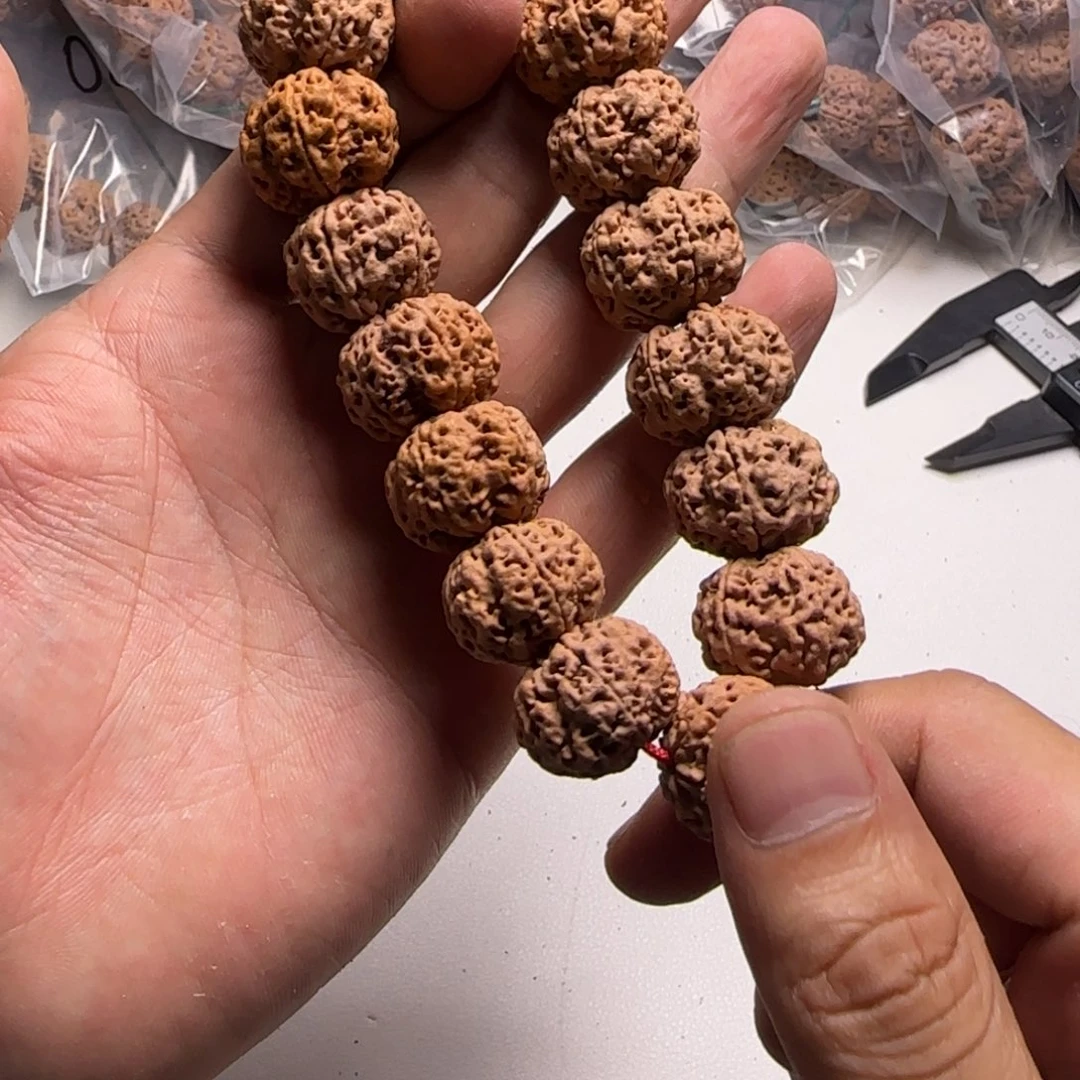 手串金刚菩提19号金刚