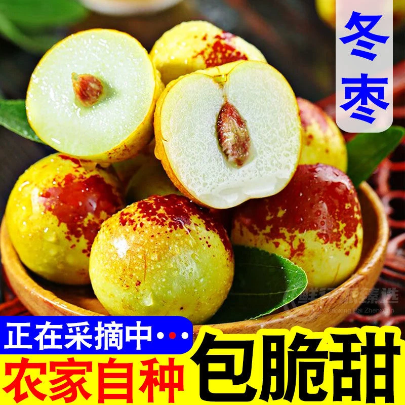 【云南大理脆甜冬枣】新鲜现摘大理蜜枣青红冬枣超甜应季水果奶枣