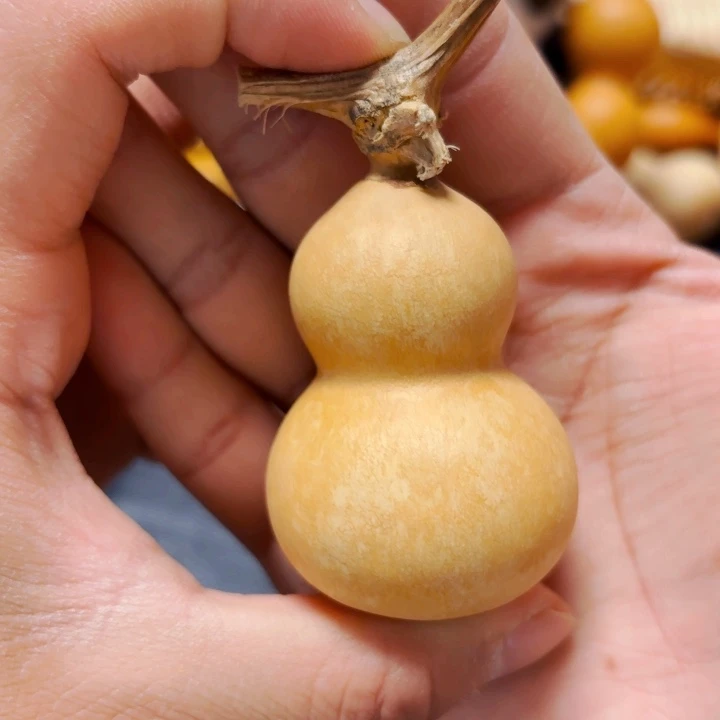 豆*喵88888888988888888888