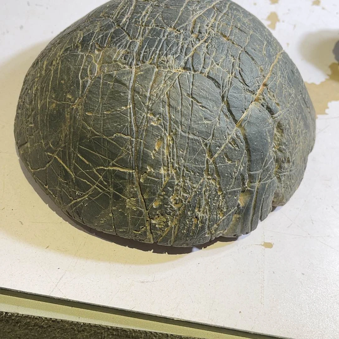 紫砂偏远地区不包邮厦****馆