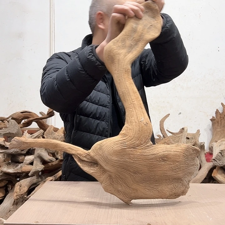 柏木愈**痕我们都是好孩子呀我也是