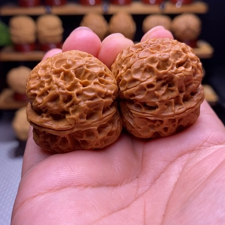 木质类云铁元宝蝉69号