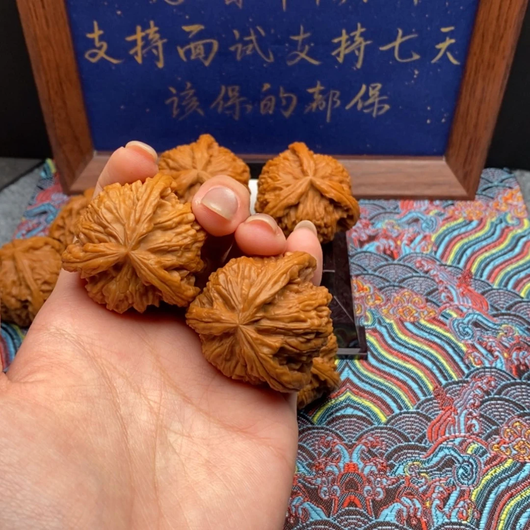 【闪购商品】启*白狮