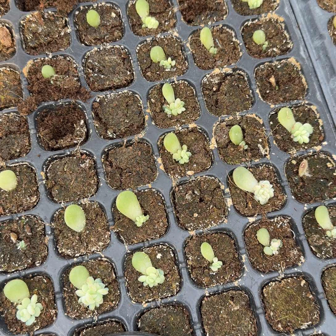 A023 穴一个满25包邮