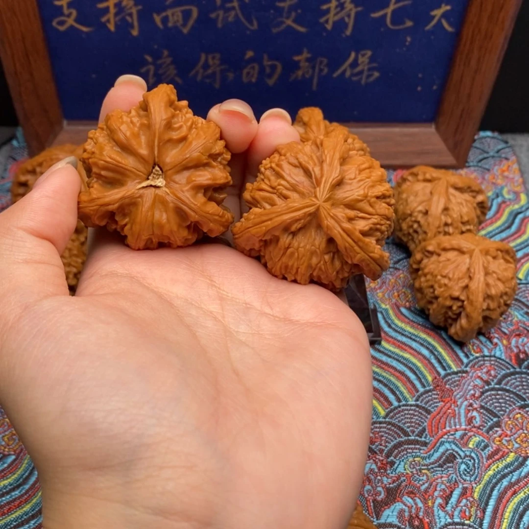【闪购商品】K***i白狮