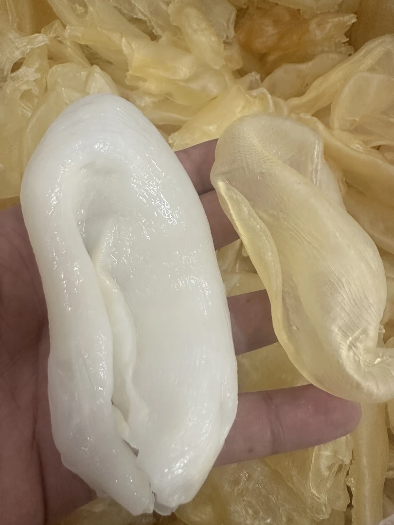 50头珍珠胶250-500克 鱼胶炖牛奶炖汤炖鸡食用