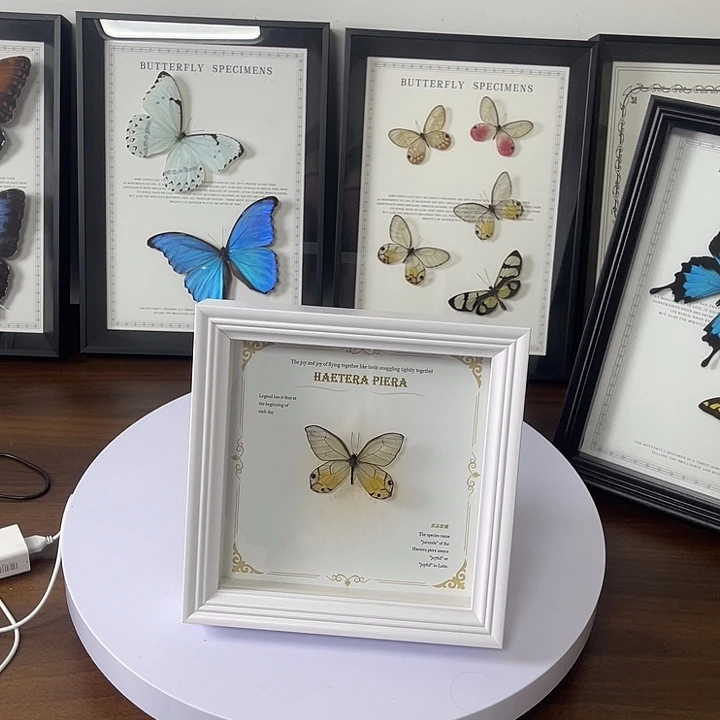 黄晶入框7寸框一物一图