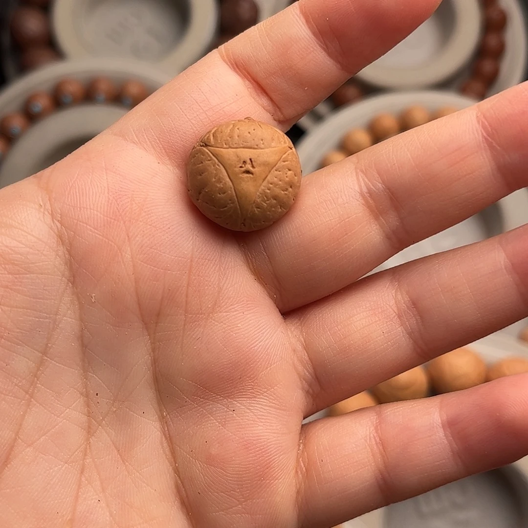 t***n凤眼菩提手串龙眼