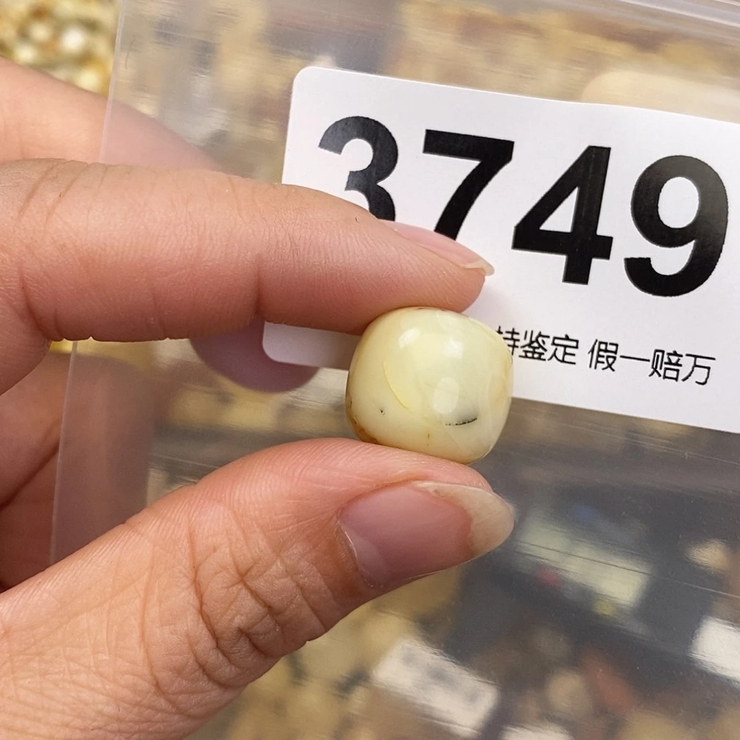 蜜蜡未镶嵌珠宝奇石15.6