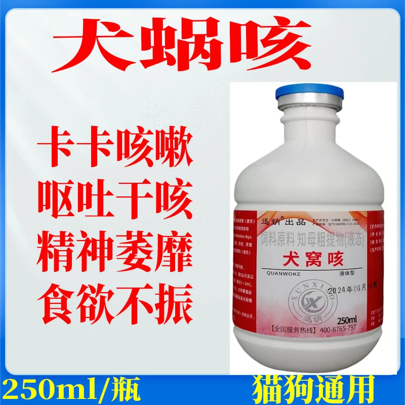 犬窝咳宠物猫咪狗狗咔咔咳发热流涕犬用呼吸道感染喘气
