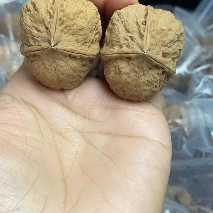 把件文玩核桃云南铁核桃基地54