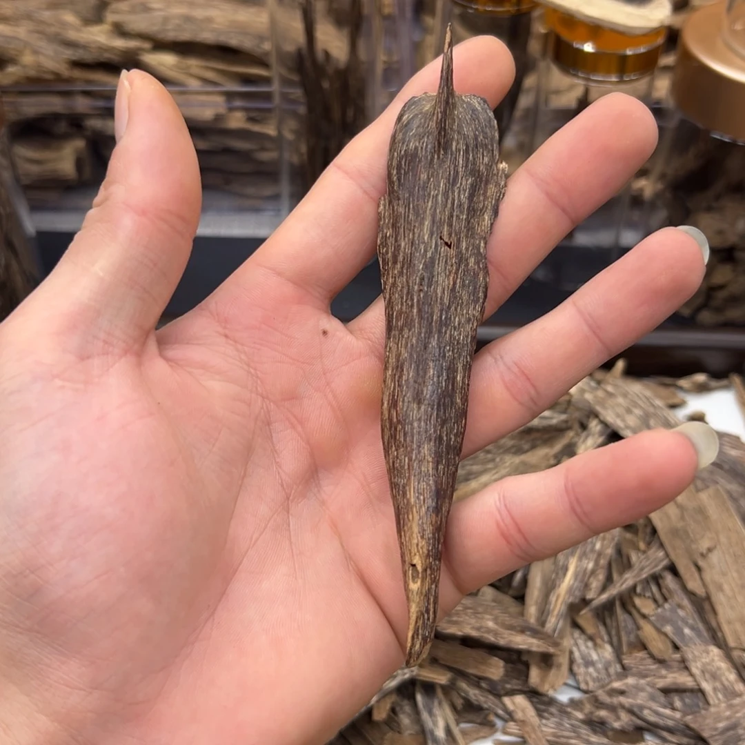 海南天然树钉长条条壳子4.2g