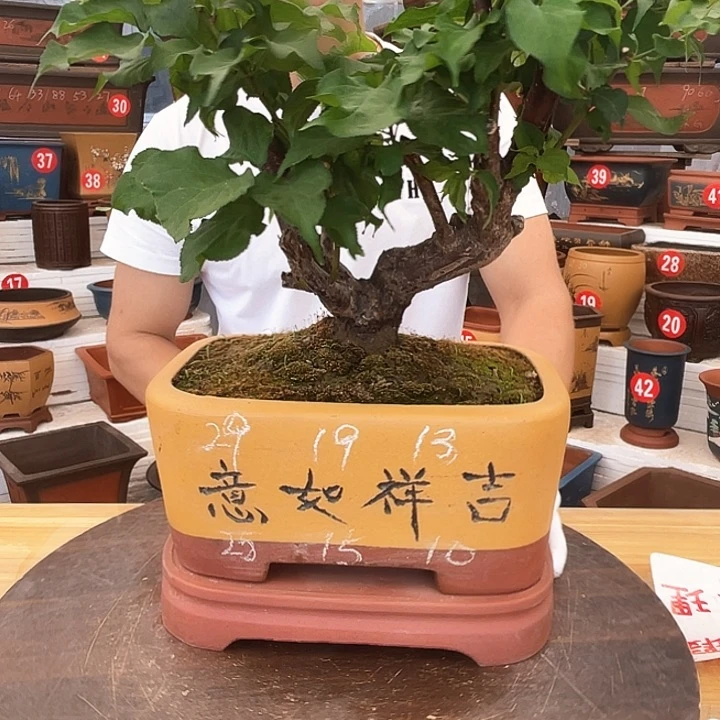 精品紫砂工厂直发