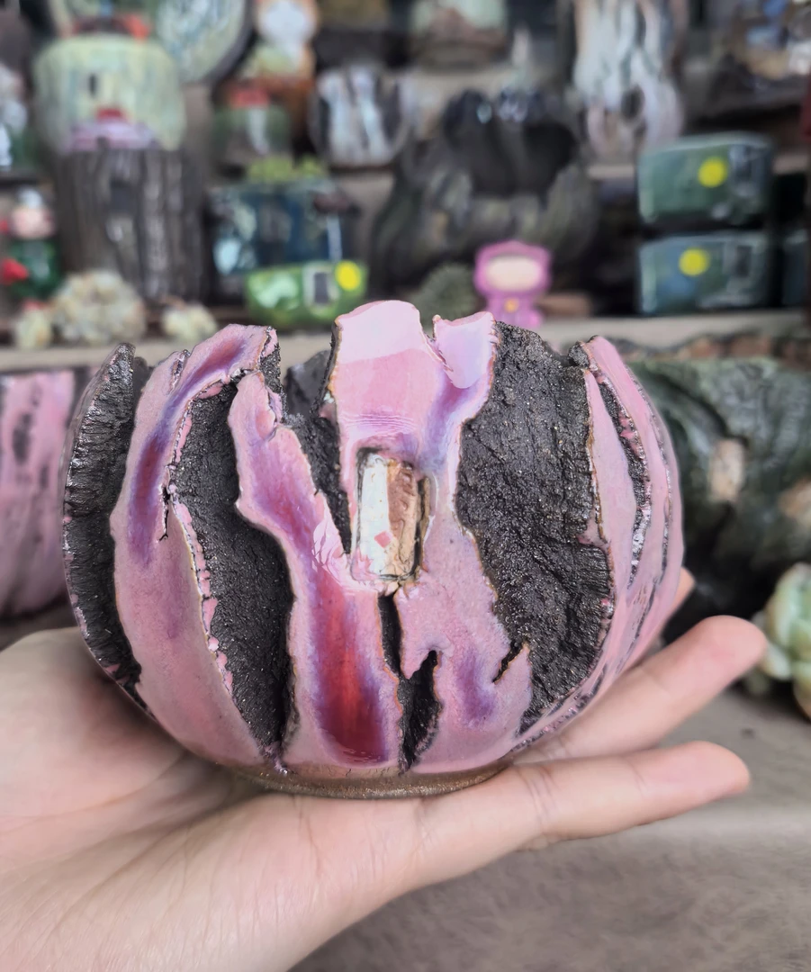 虎牙专拍  一物一拍