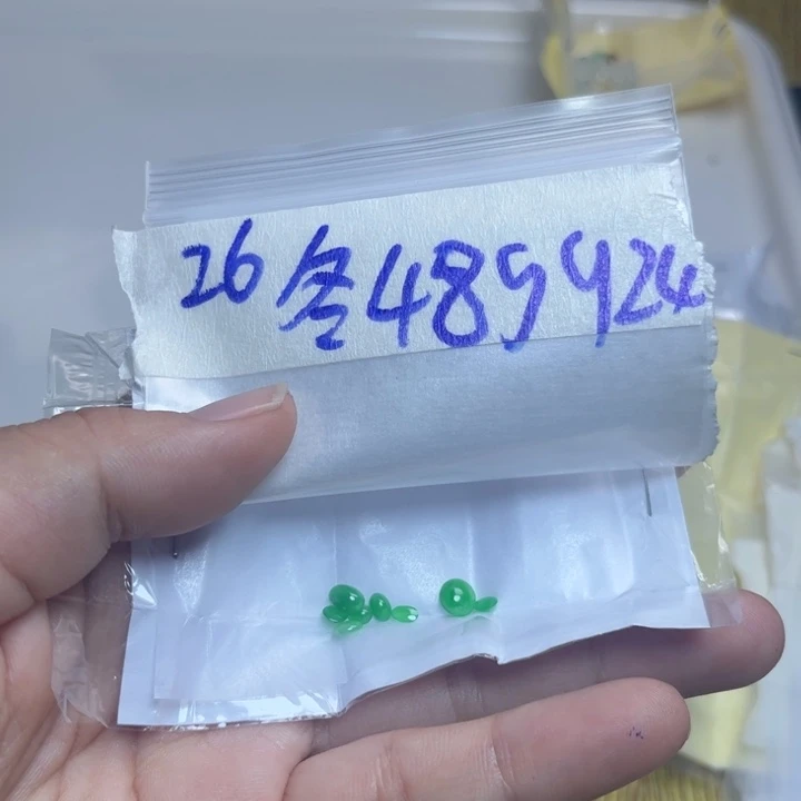 冬***暖未镶嵌定制翡翠不退