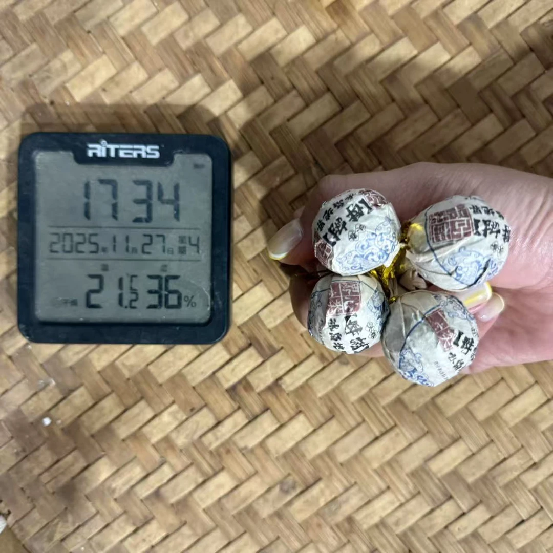 2017年冰岛地界界心一类母树古树单株普洱生茶龙珠M23号11月27日