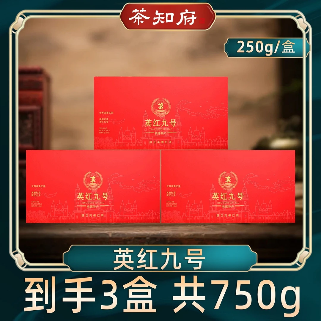 【茶知府】广东正宗英德红茶 英红九号礼盒装 250克/盒 新茶红茶
