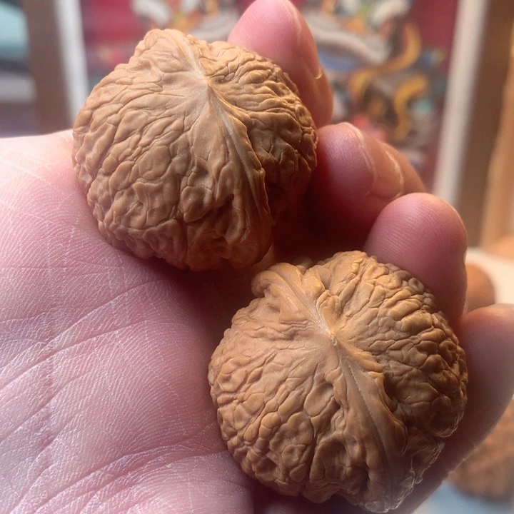 吊坠猴头核桃夜明珠 全品 5号