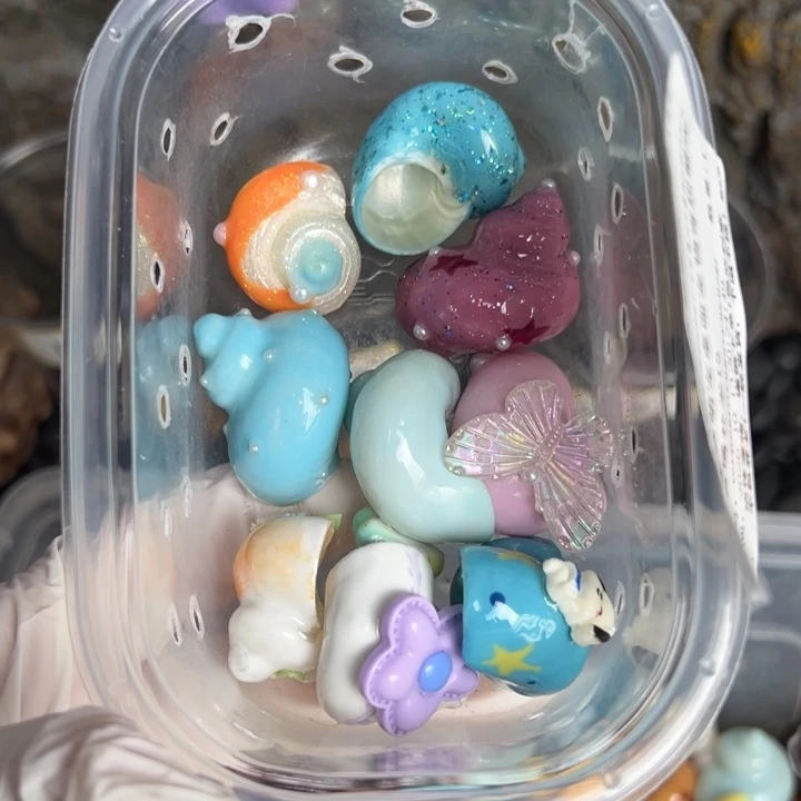 寄居蟹壳子9个寄居蟹