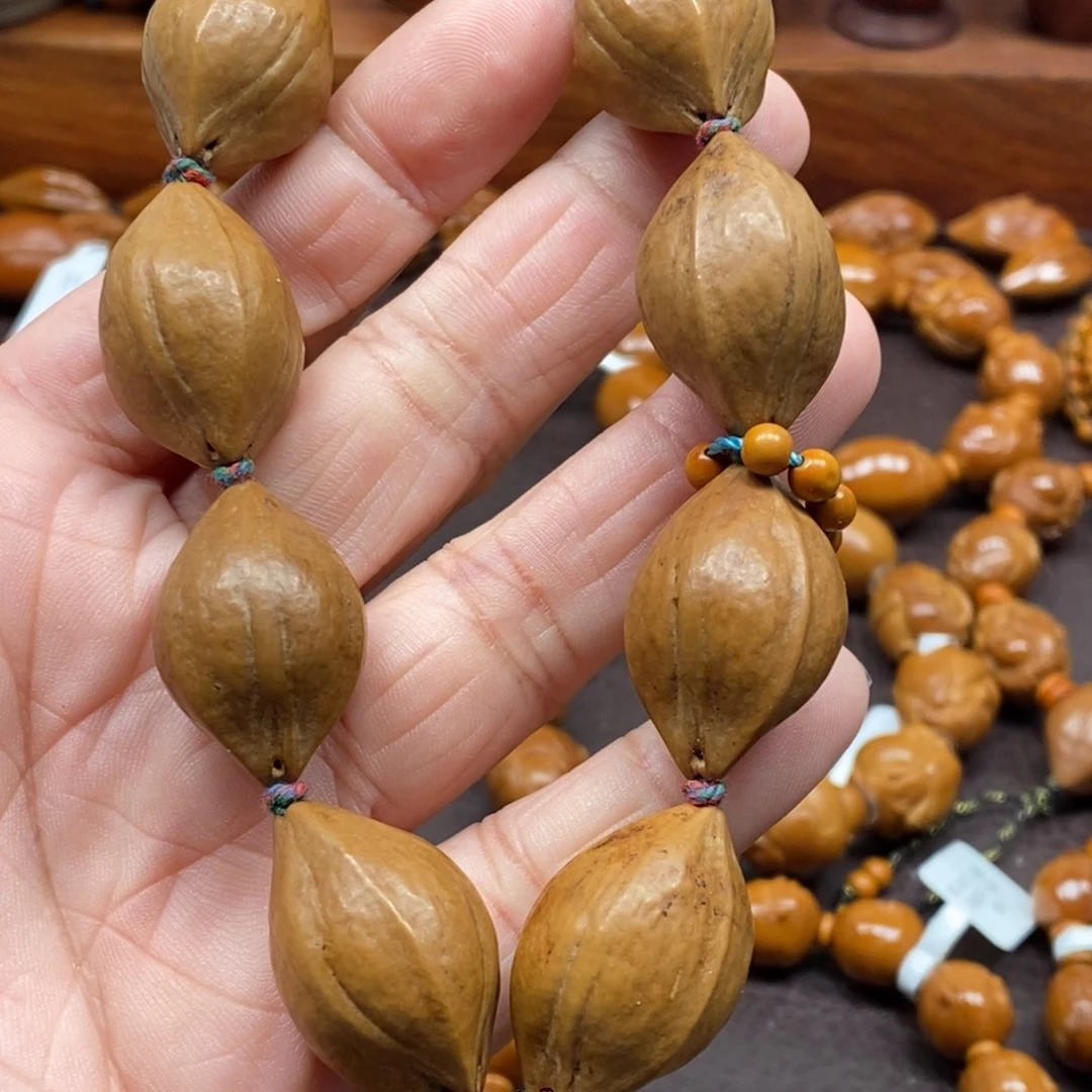 1.8橄榄核原皮素核一条