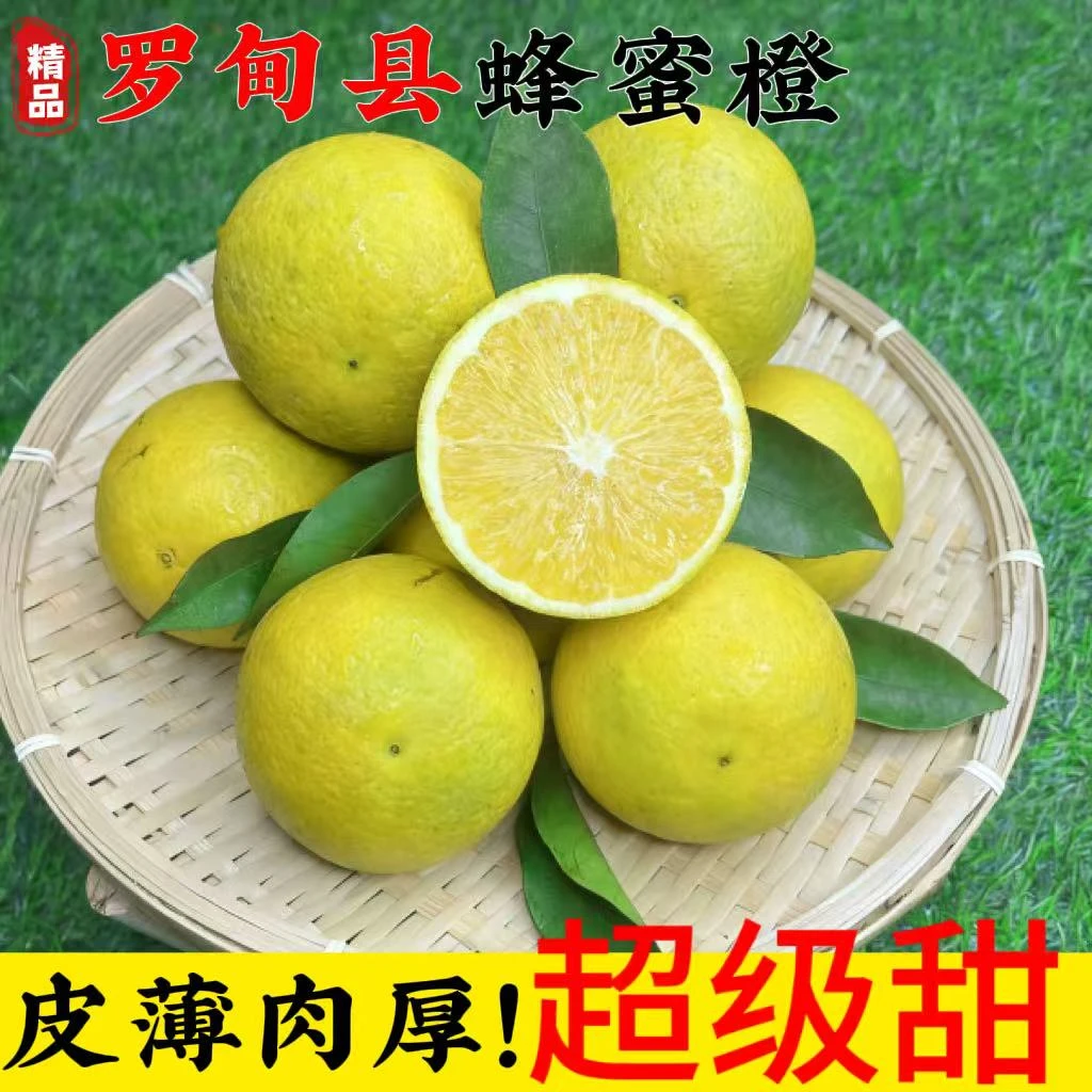 【爆汁甜】罗甸蜂蜜橙当季新鲜水果青黄清甜多汁 现摘现发