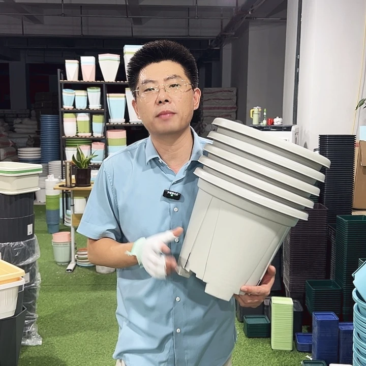 青山口32高28灰白色5只无托