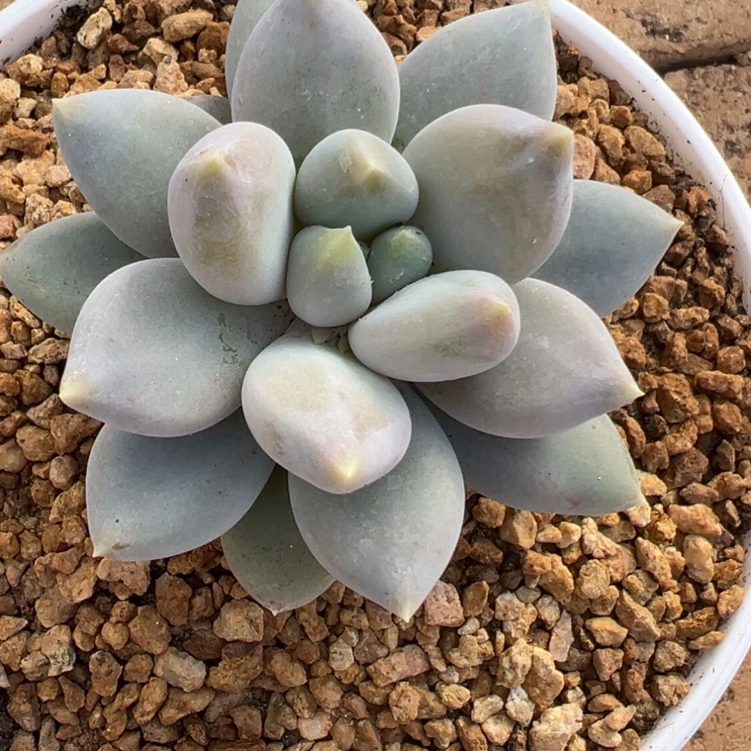 过***天过几天去看看我就，过好15