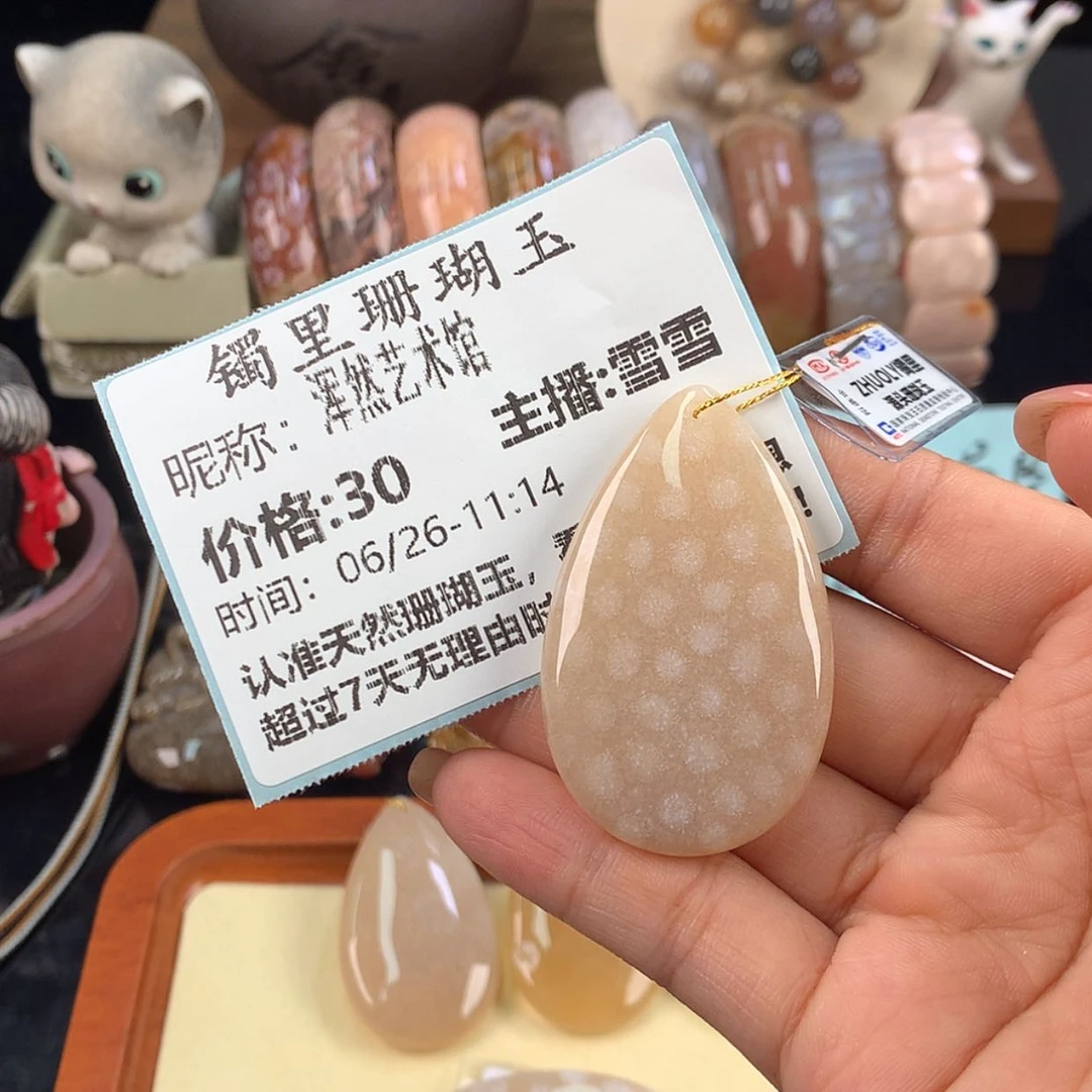 【闪购商品】硅化珊瑚（珊瑚玉）未镶嵌颈饰浑***馆