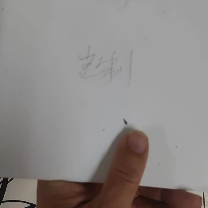 白***风书法书法协会作品