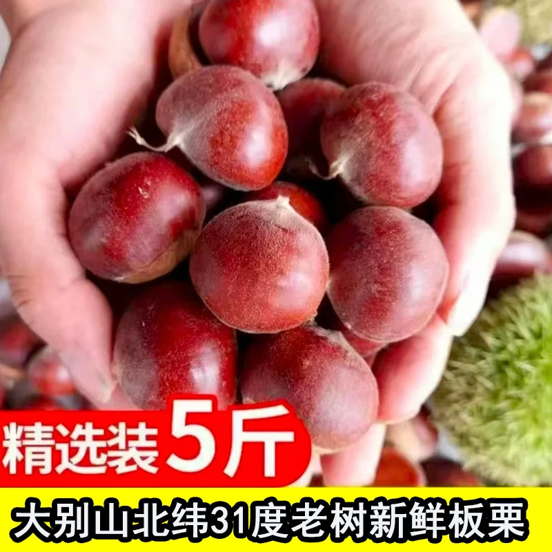 【大别山】商城县2025年新鲜板栗生板栗5斤一箱